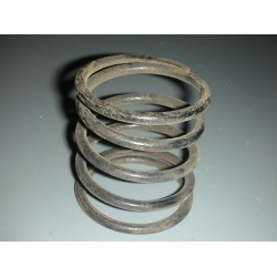 Spring For Free Wheel